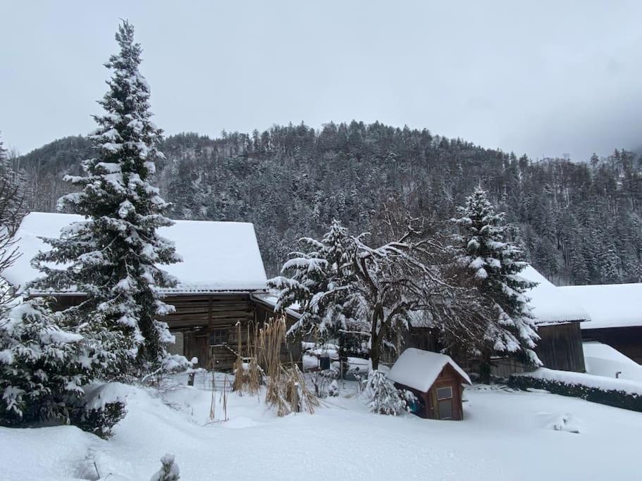 Panorama Wohnung Rungelin Bludenz Екстер'єр фото